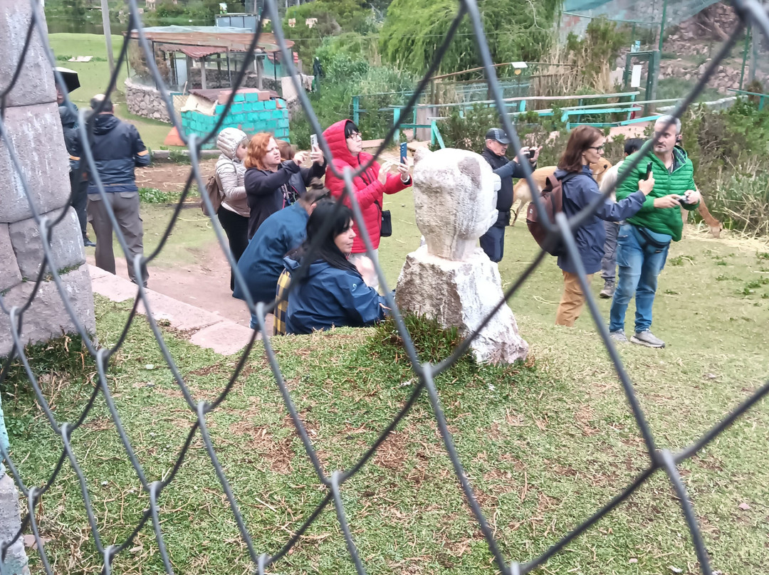 Cochahuasi Animal Sanctuary-库斯科必去景点