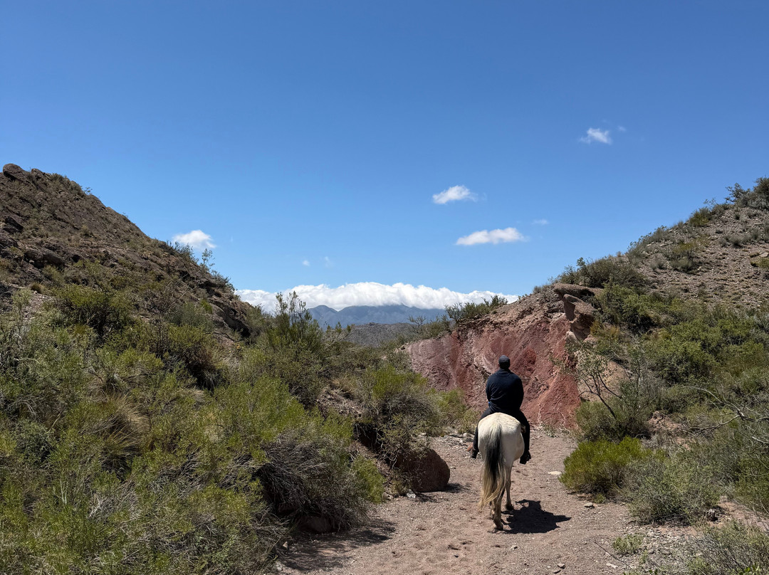 Rincon de los Oscuros-Potrerillos必去景点