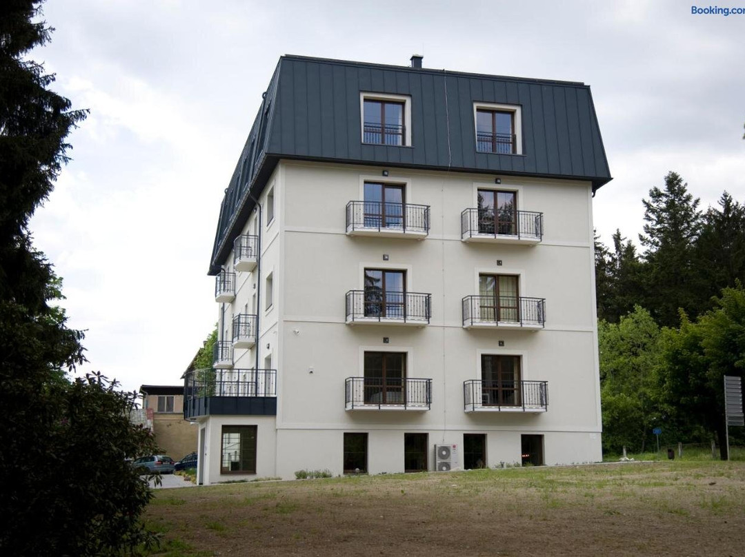 Spa Hotel Garni Lowenstein主图