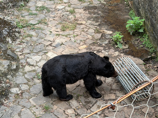 杭州动物园-杭州市必去景点