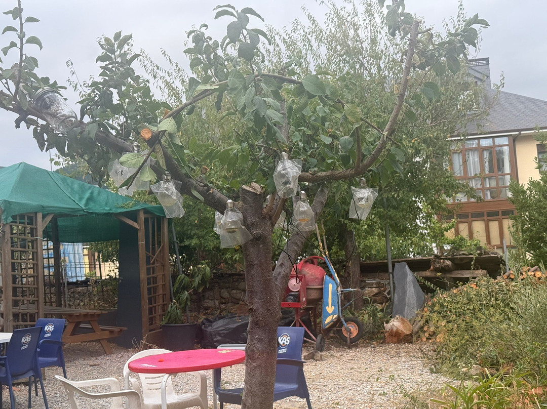 Albergue Ave Fenix主图