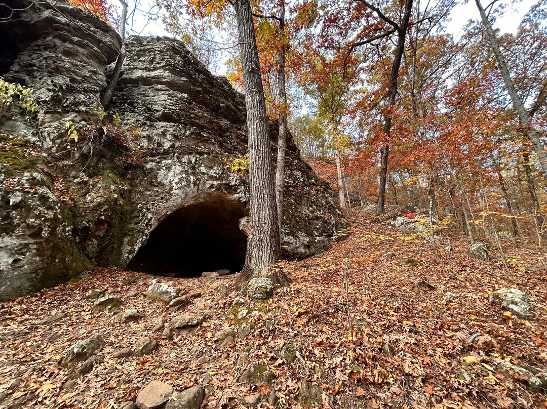 Seven Hollows Trail-Morrilton必去景点