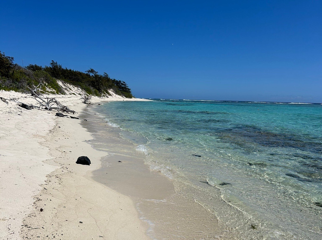 Sea Serenity Excursions-Bain Boeuf必去景点