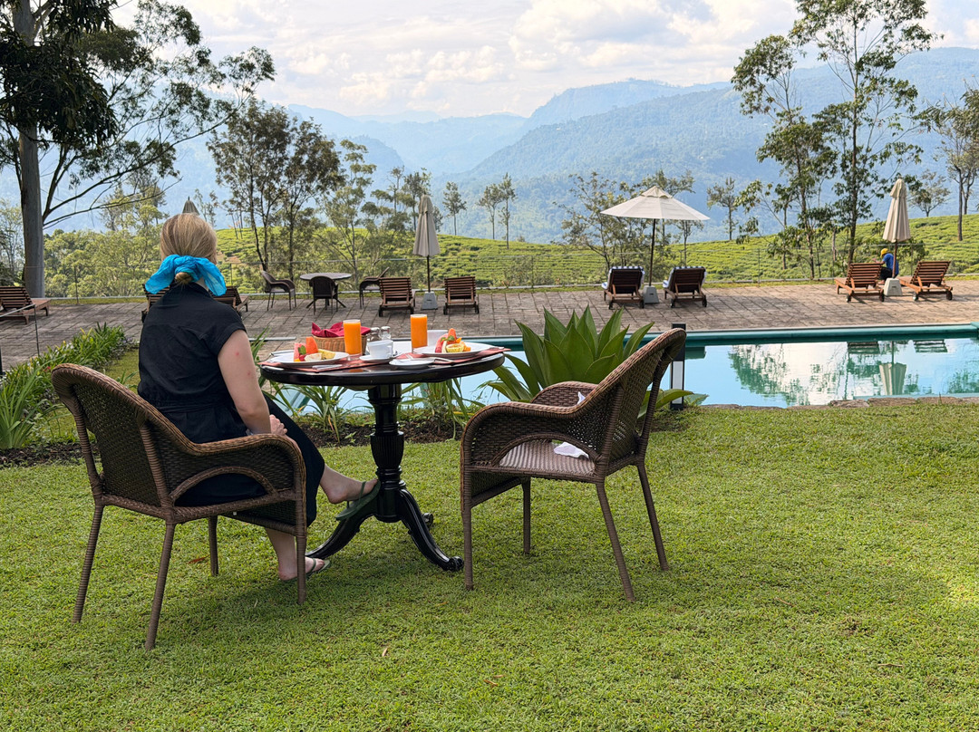 The Lavender House By Reveal主图