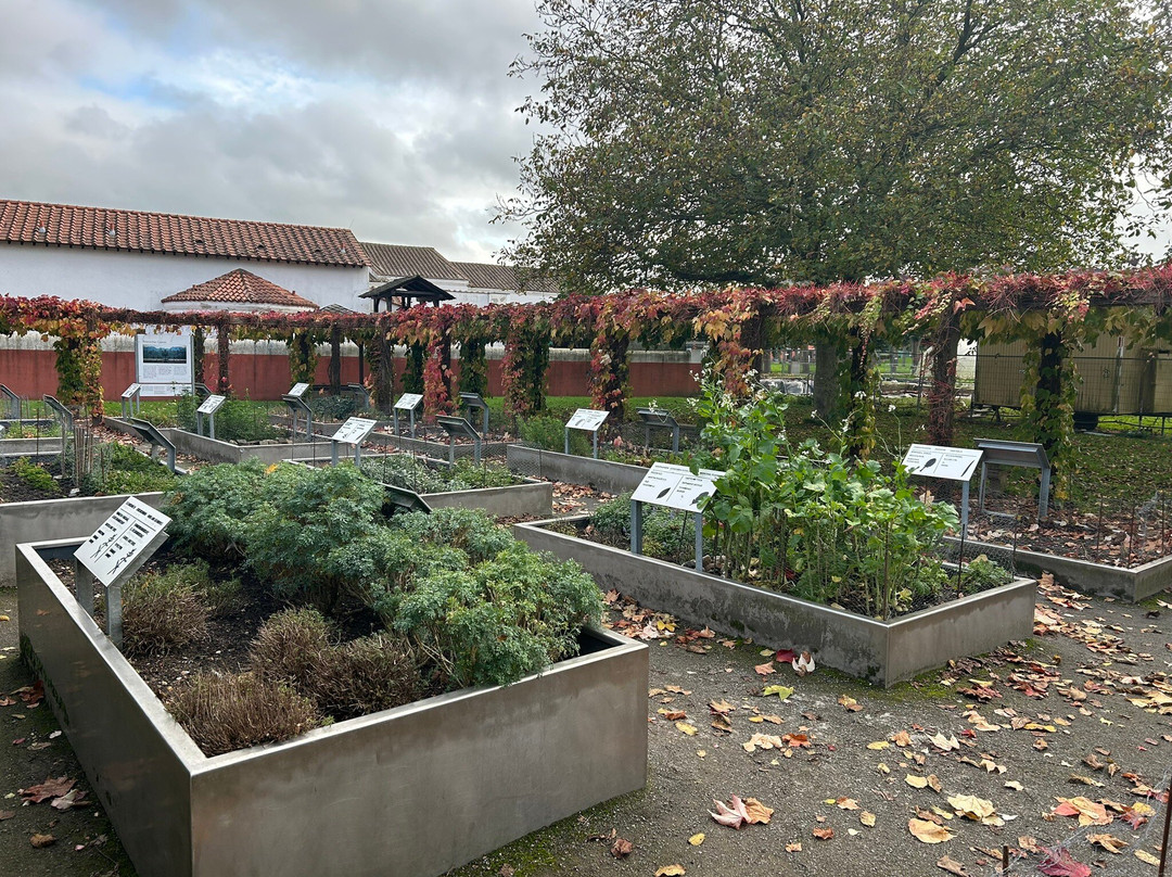 LVR-Archäologischer Park Xanten-克桑滕必去景点