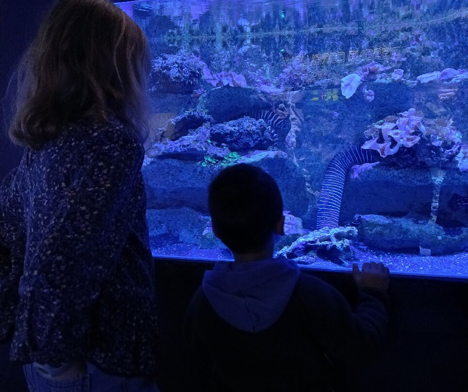 Seaquarium Institut Marin-勒格罗迪鲁瓦必去景点