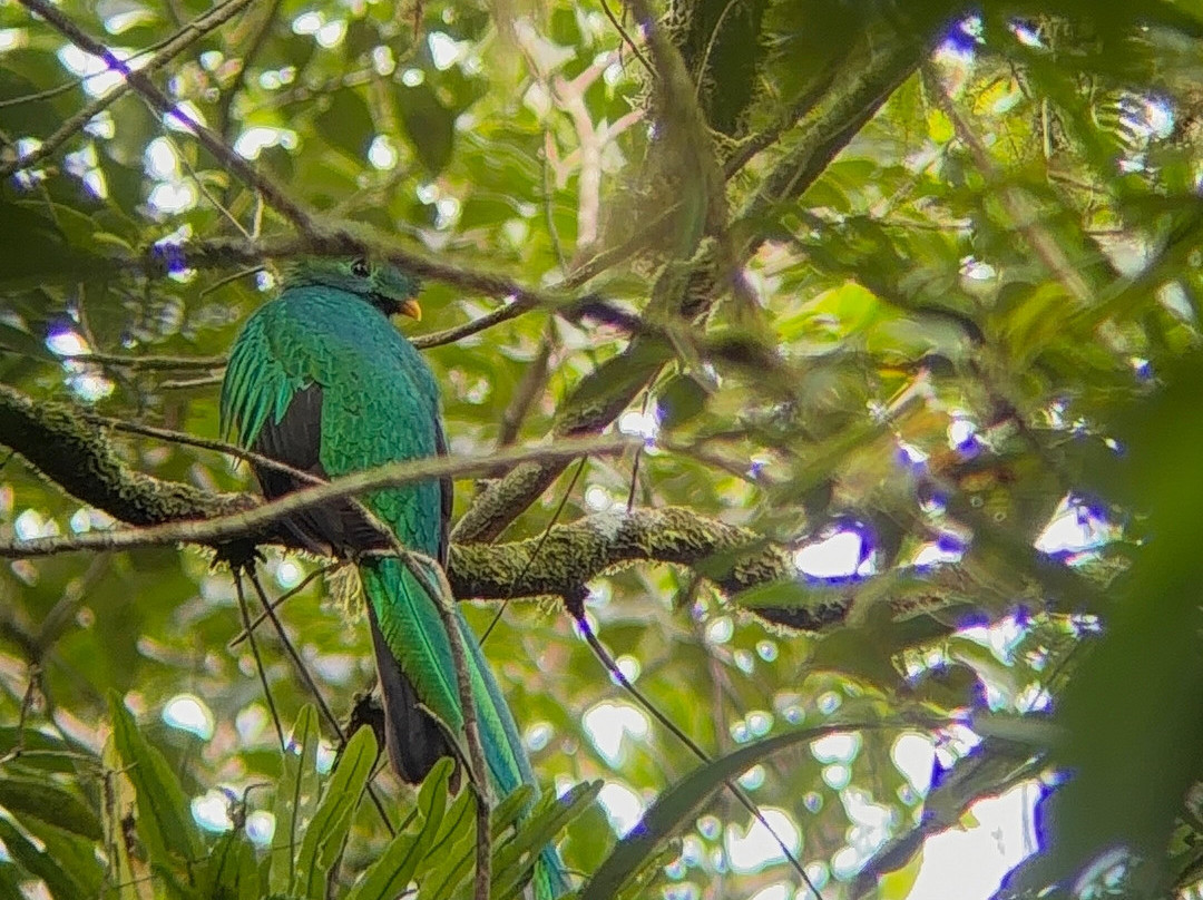 Woodpecker Educational Tours-Canas必去景点