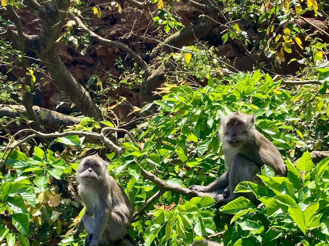 One Love Co Ltd.-毛里求斯必去景点