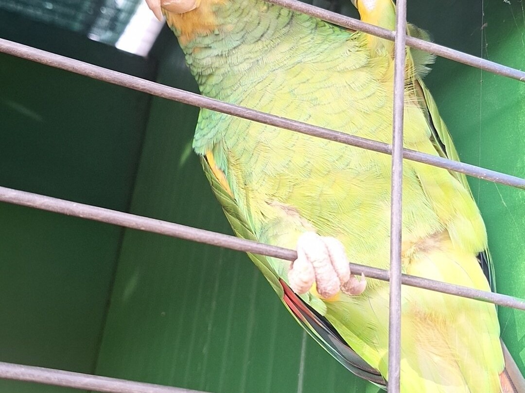 Quinta Fotoplanet Farm-阿尔布赞拉必去景点