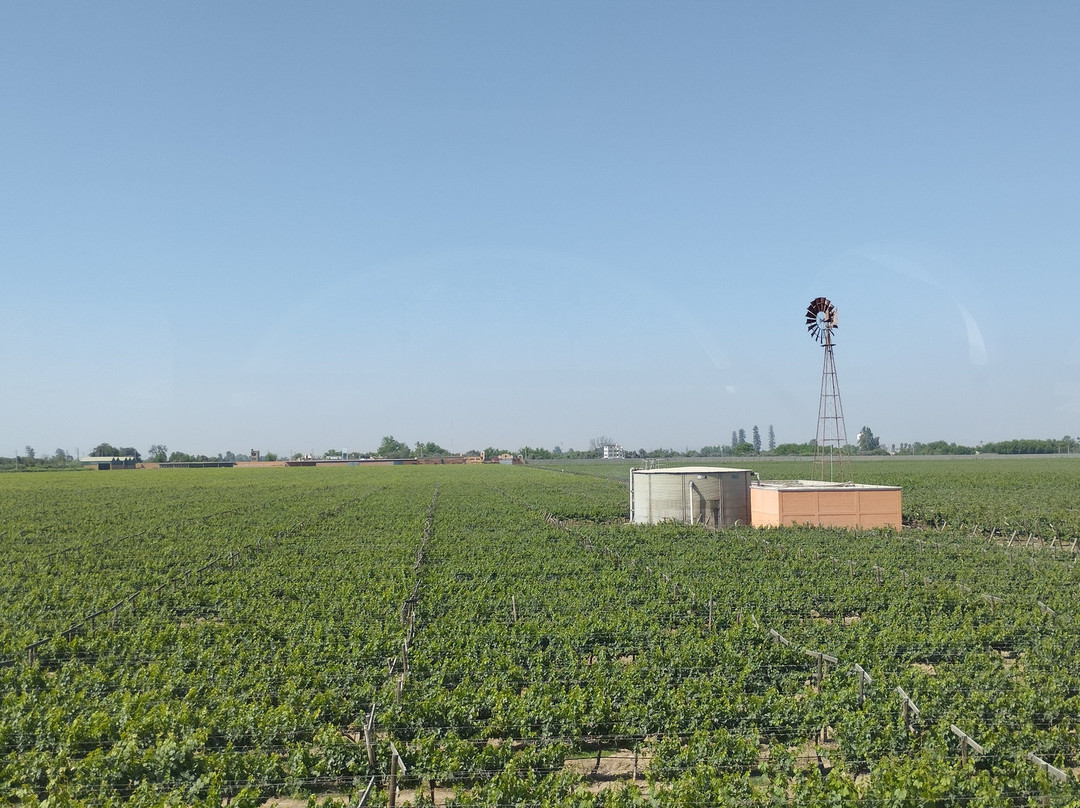 Hotel Viñas Queirolo主图