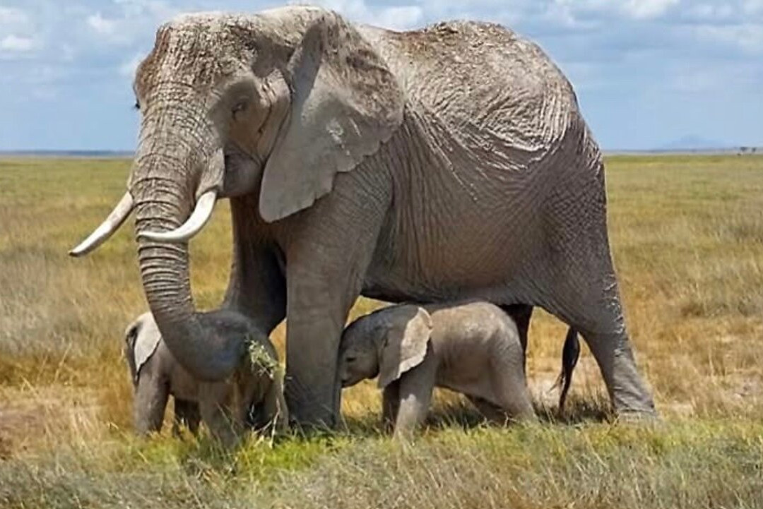 Northern Wild Hunters-班布里必去景点