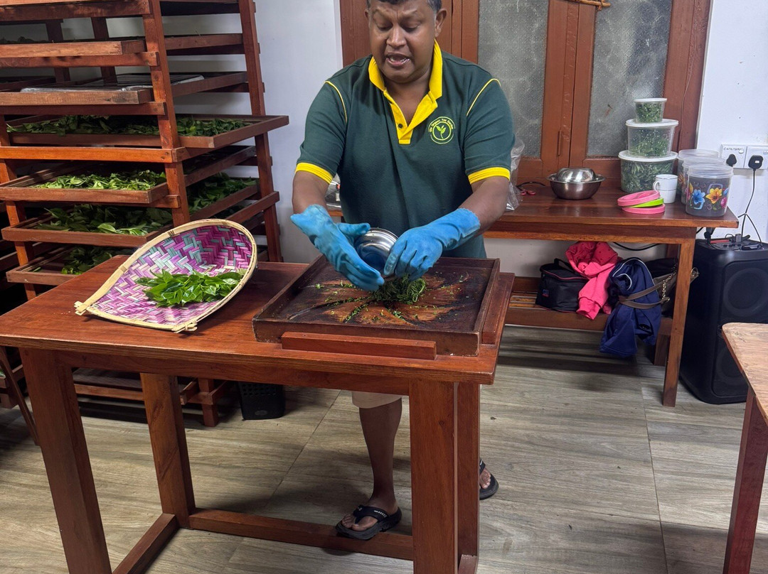 Ella Organic Tea Garden-Heeloya必去景点