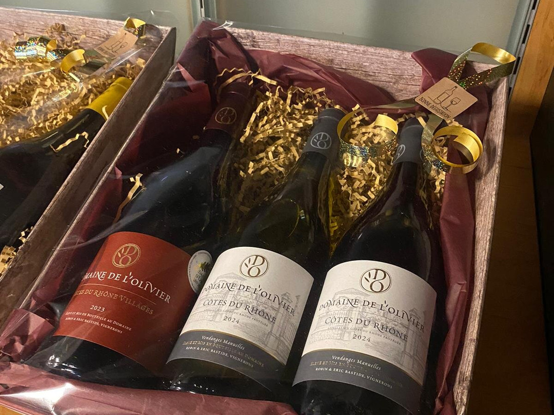 Ccvins-Donzere必去景点