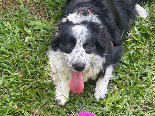 Pousada Acalanto主图