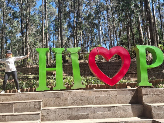 Best Western Premier Dynasty主图