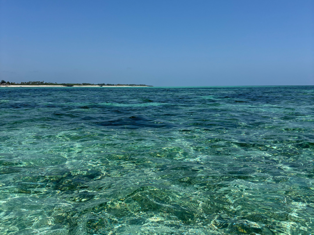 Kalume Safari-瓦塔木必去景点