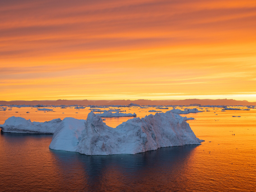 Diskobay Tours-伊卢利萨特必去景点