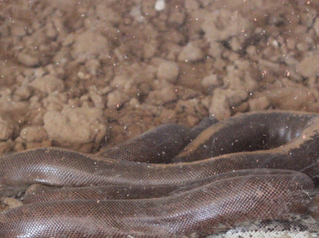 Gandhi Prani Udhyan-瓜廖尔必去景点