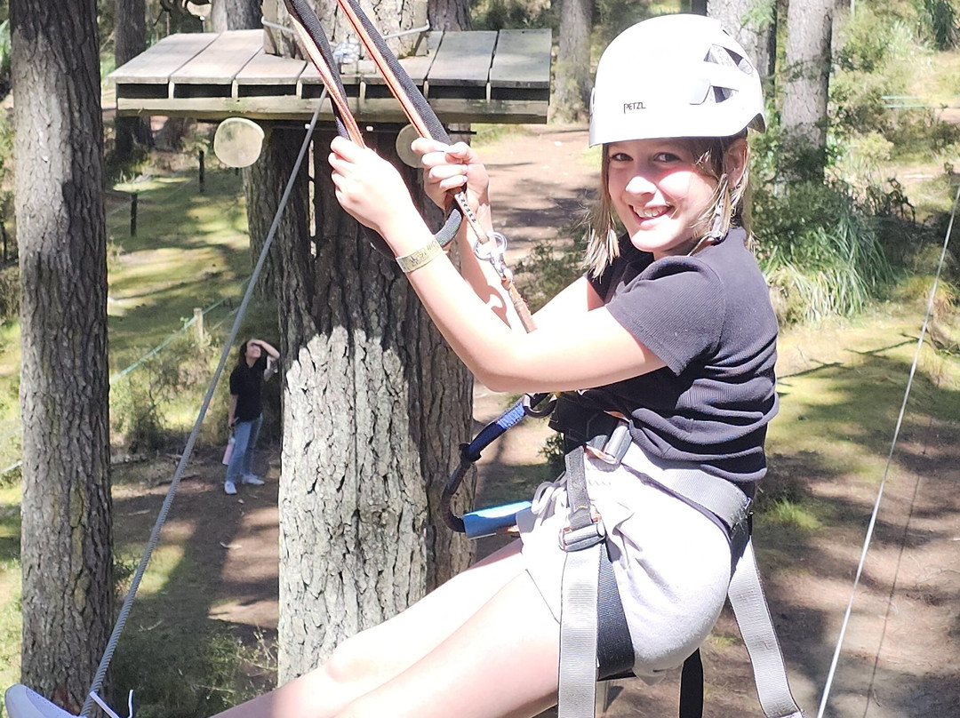 Tree Adventures-伍德山必去景点