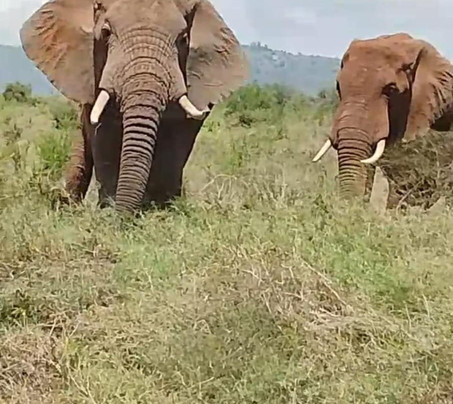 Viaggio Del Cuore-瓦塔木必去景点