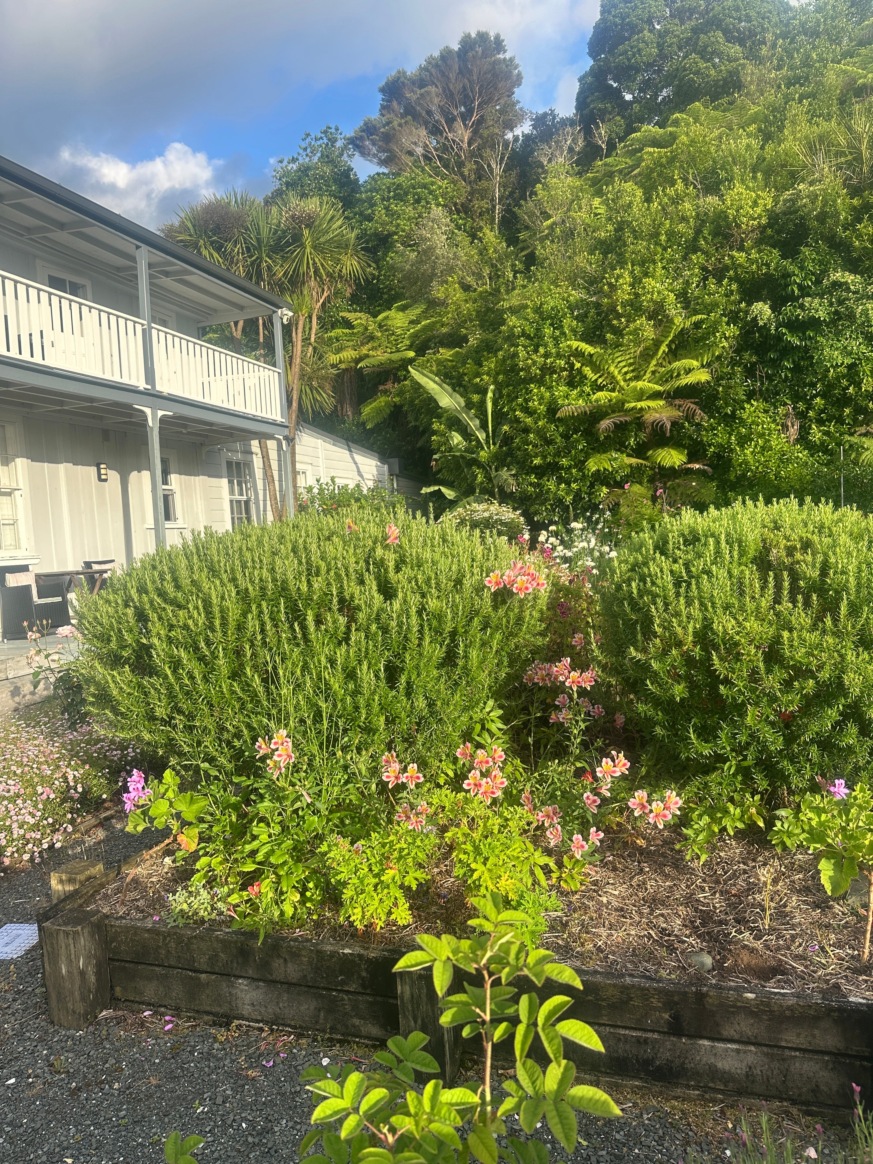 The Old Oak Boutique Hotel-官方