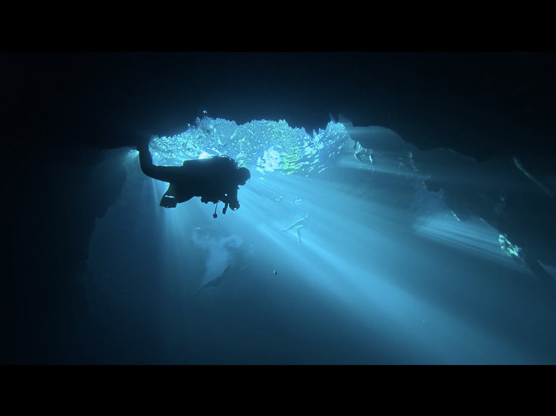 Diving Yucatan-梅里达必去景点