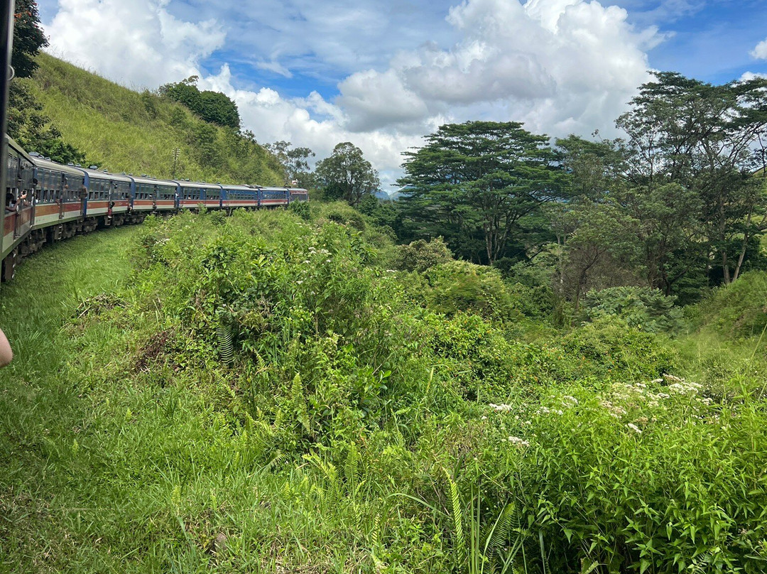 Lanka Tour Driver-Hingurakgoda必去景点