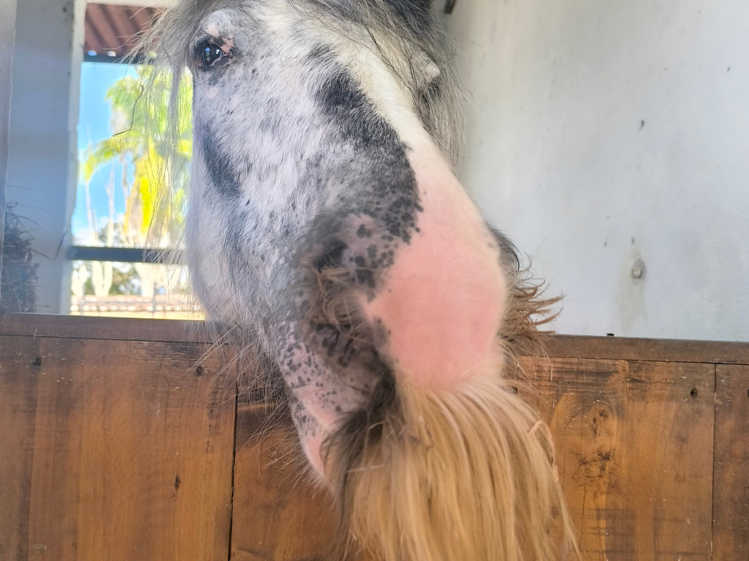 Parque la Manuela-Guatape必去景点