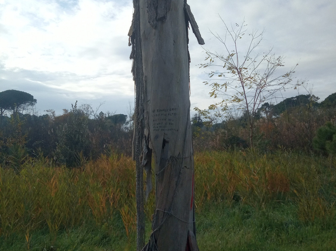 Pineta di Milano Marittima-Milano Marittima必去景点