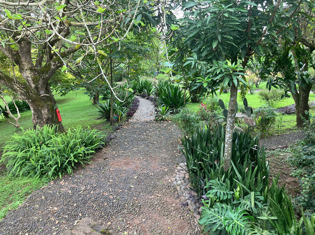 Eyayaw Tours Ethiopia-亚的斯亚贝巴必去景点