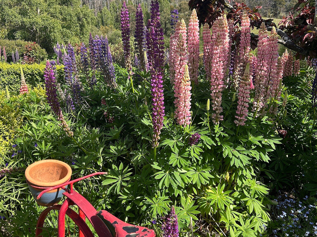 哈姆雷特丘陵地区住宿主图