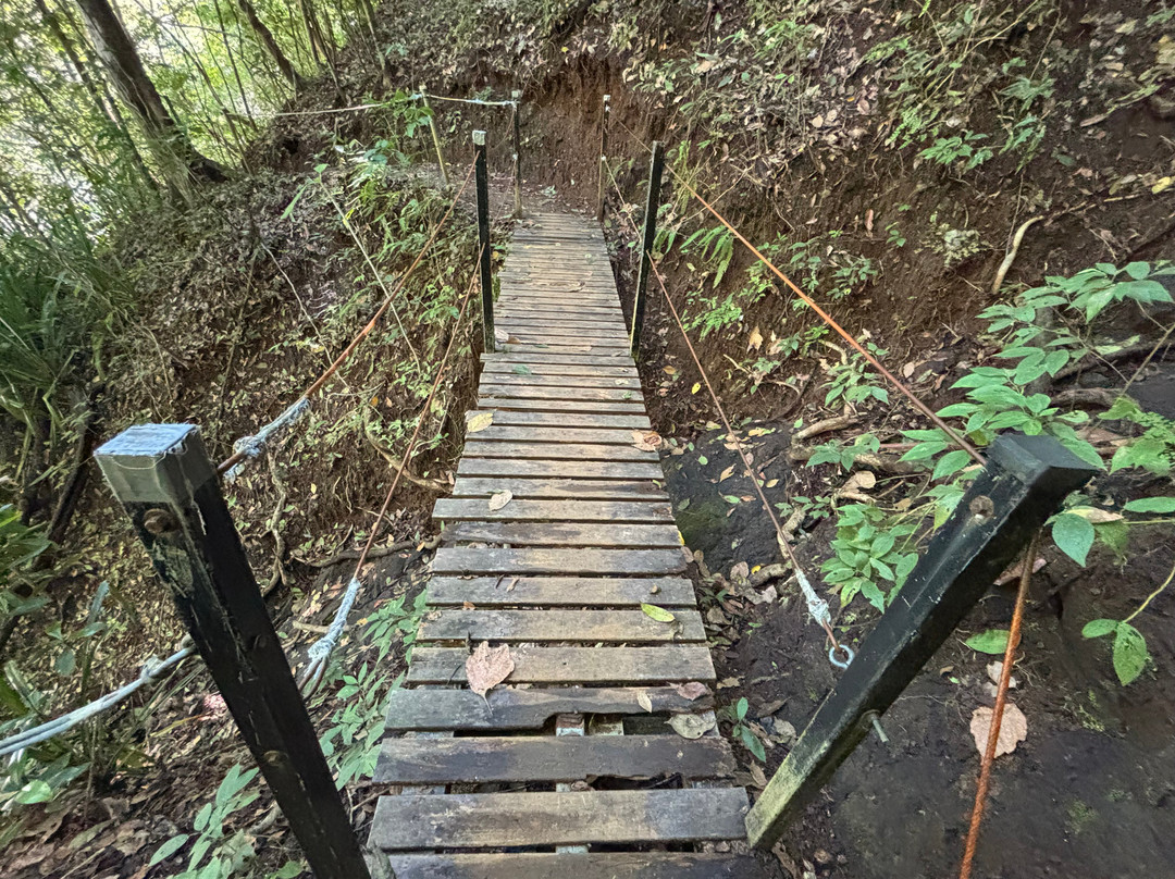 Sun Trails Tours-蒙特祖玛必去景点