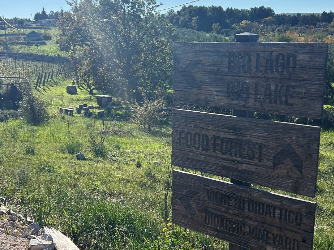 Azienda agricola Cali-安德里亚必去景点