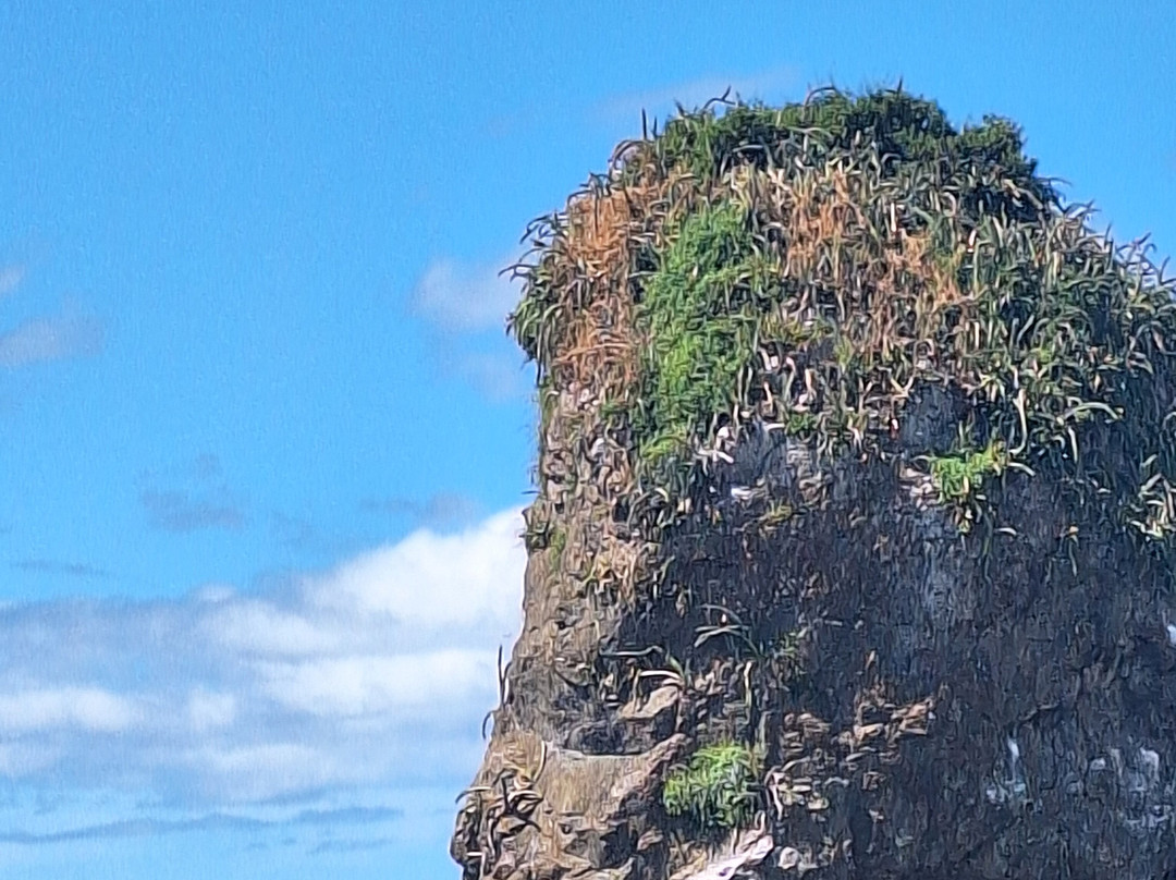 Jet Ski Sloth Land CR-Playa Panama必去景点