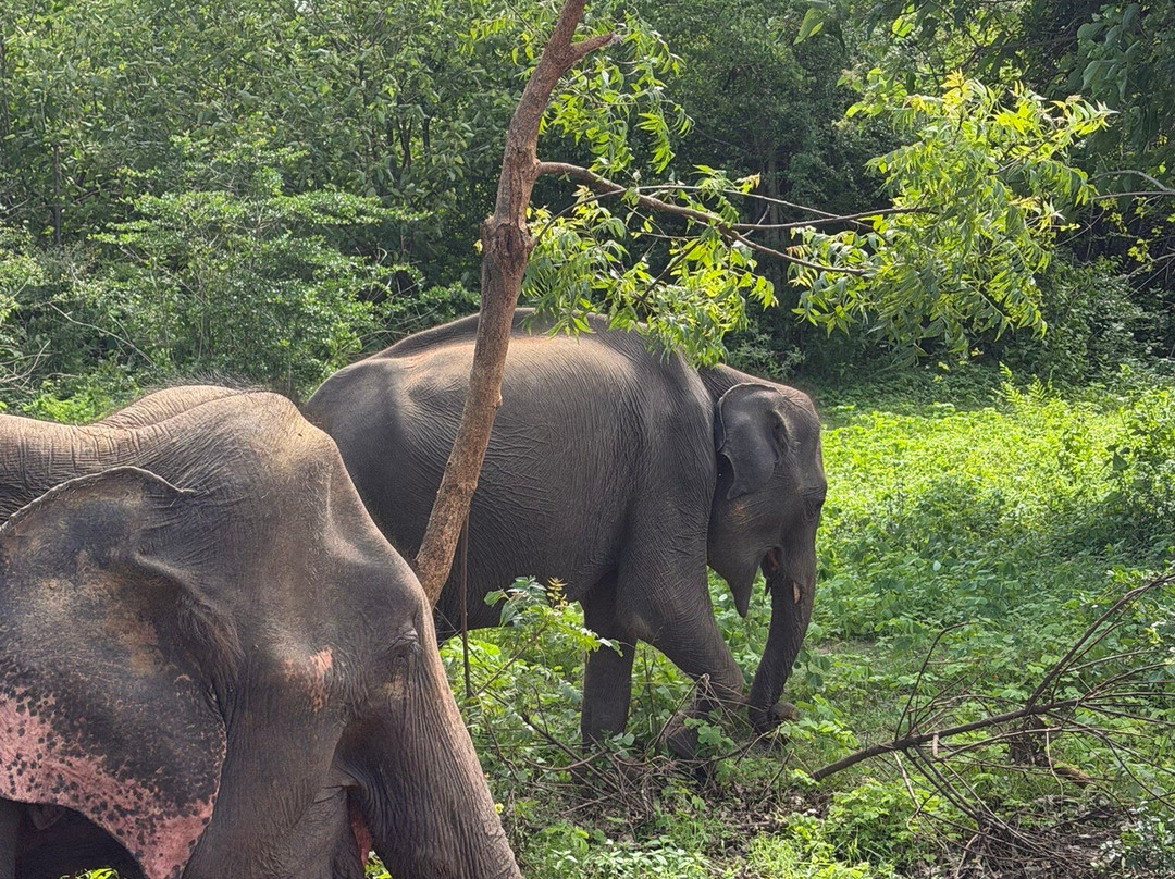 Pick To Me Taxi And Tours-品纳维拉必去景点