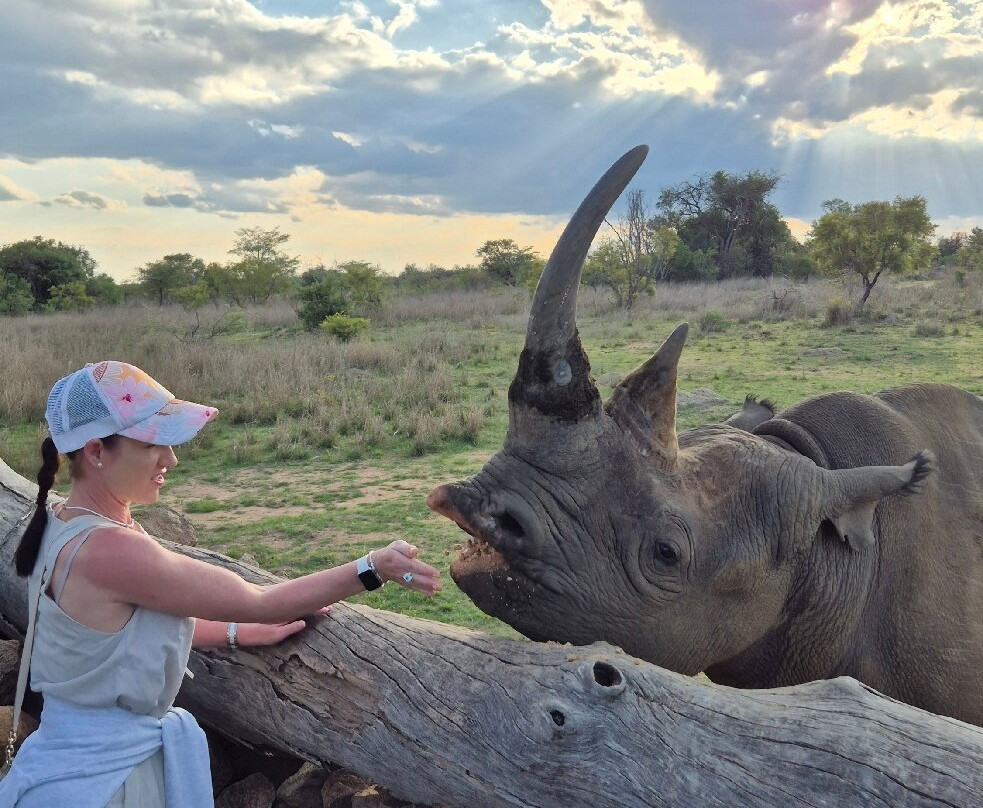 Imire: Rhino & Wildlife Conservation-韦扎必去景点
