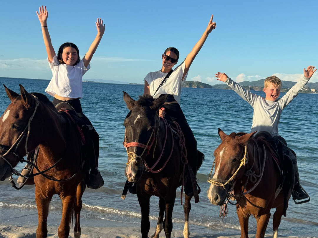 Pura Vida Concierge Services-塔马林多必去景点