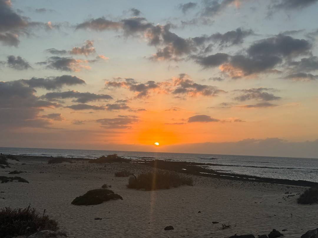 Esmeralda Cotillo  Homes主图