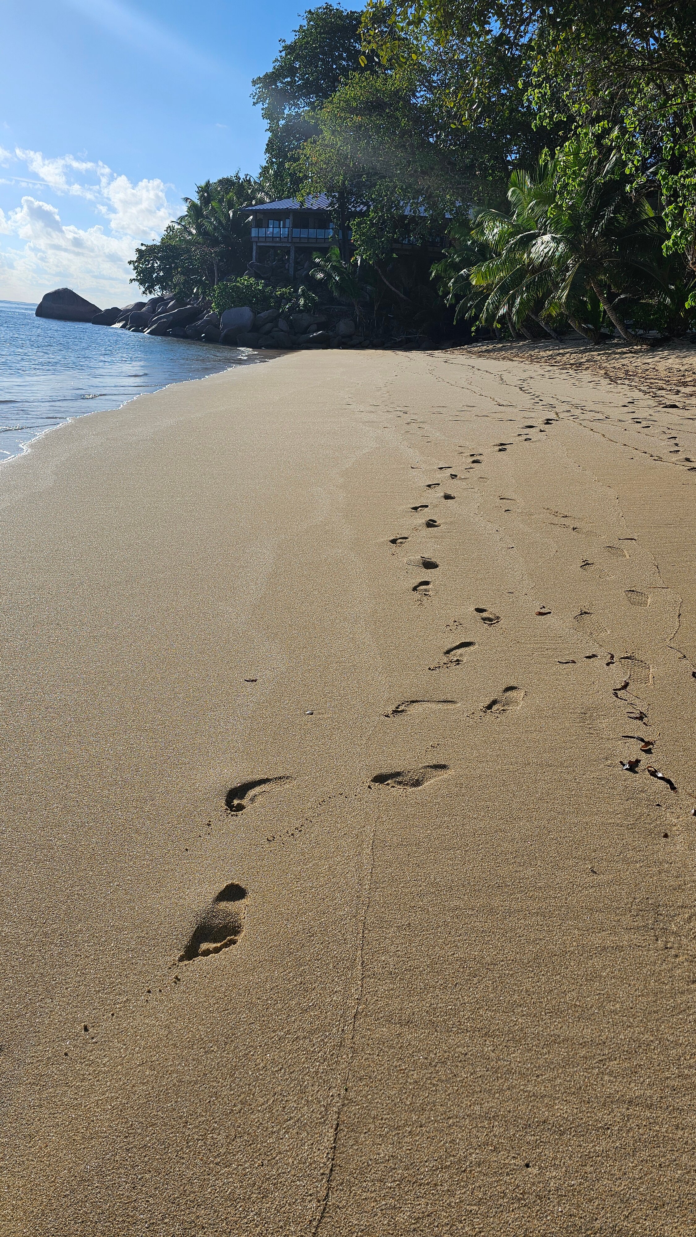 可可海酒店和黑鹦鹉套房酒店-泳池