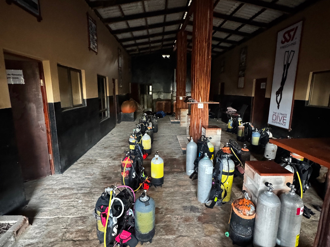 SAFARI, DRIVE & DIVE TOURS-Inhambane必去景点