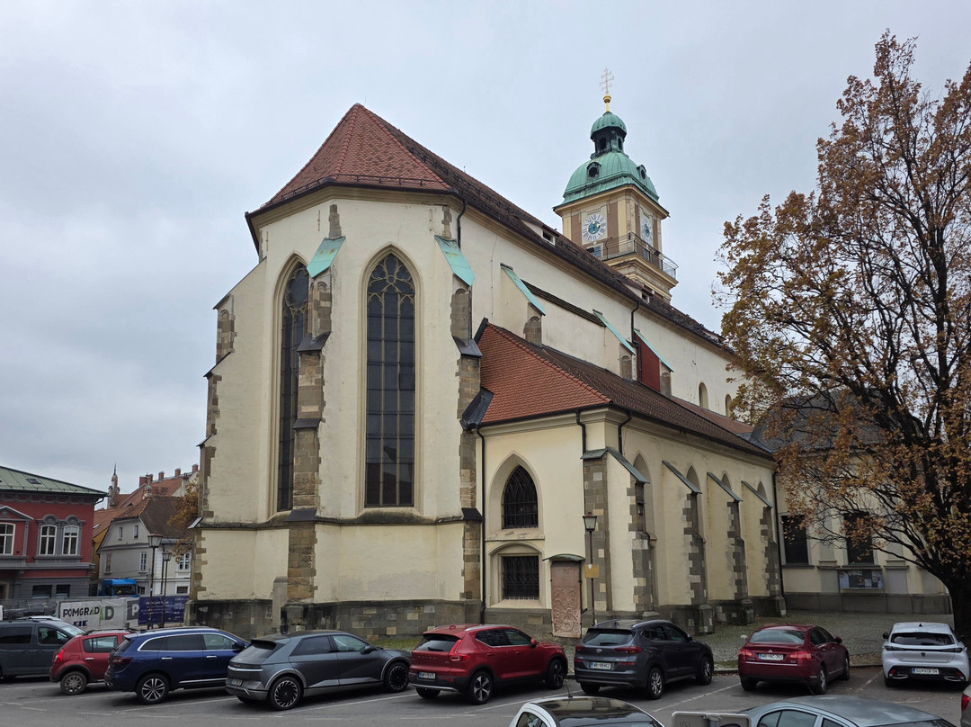 Maribor Cathedral (Church of St John the Baptist)-马里博尔必去景点