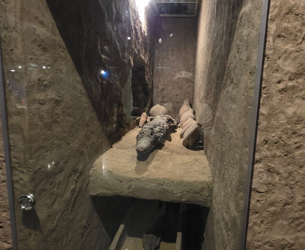 Crocodile Museum-Kom Ombo必去景点