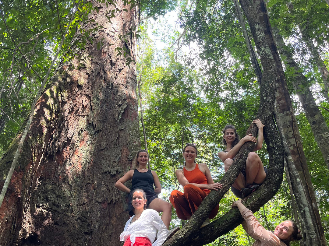 PORANDUBA AMAZÔNIA-玛瑙斯必去景点