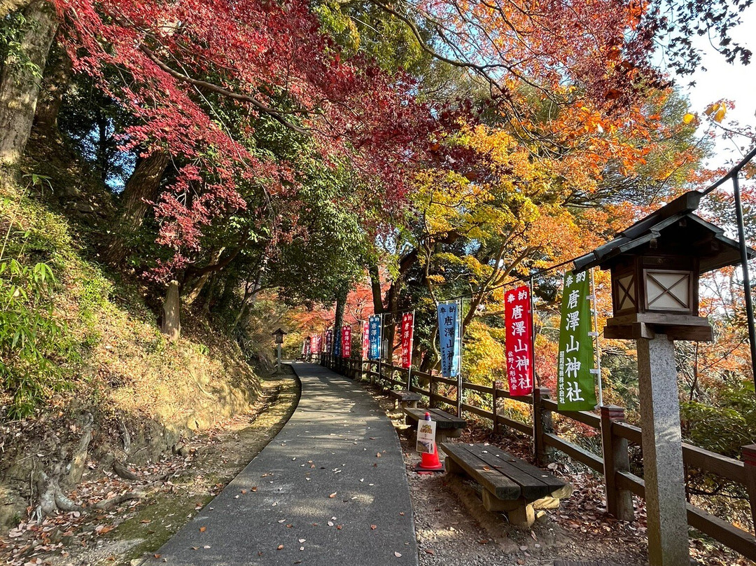 Karasawayama Jinja Shrine-佐野市必去景点