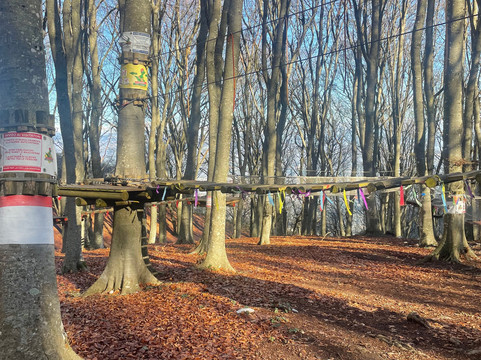 Parco Avventura Camposauro-Vitulano必去景点