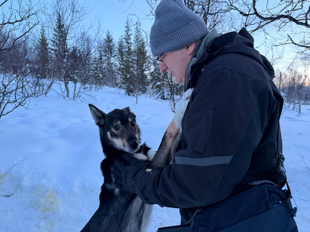 Kvaløya Husky-特罗姆瑟必去景点