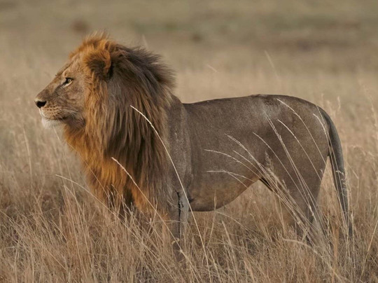 CRAB TOURS AND SAFARIS