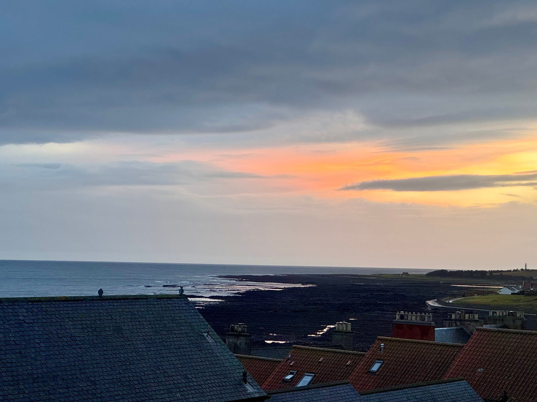 The Dolphin Inn主图