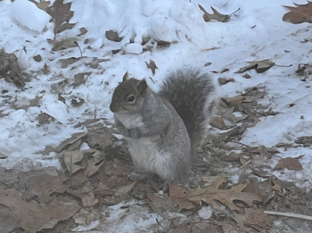 Mackworth Island-Falmouth必去景点
