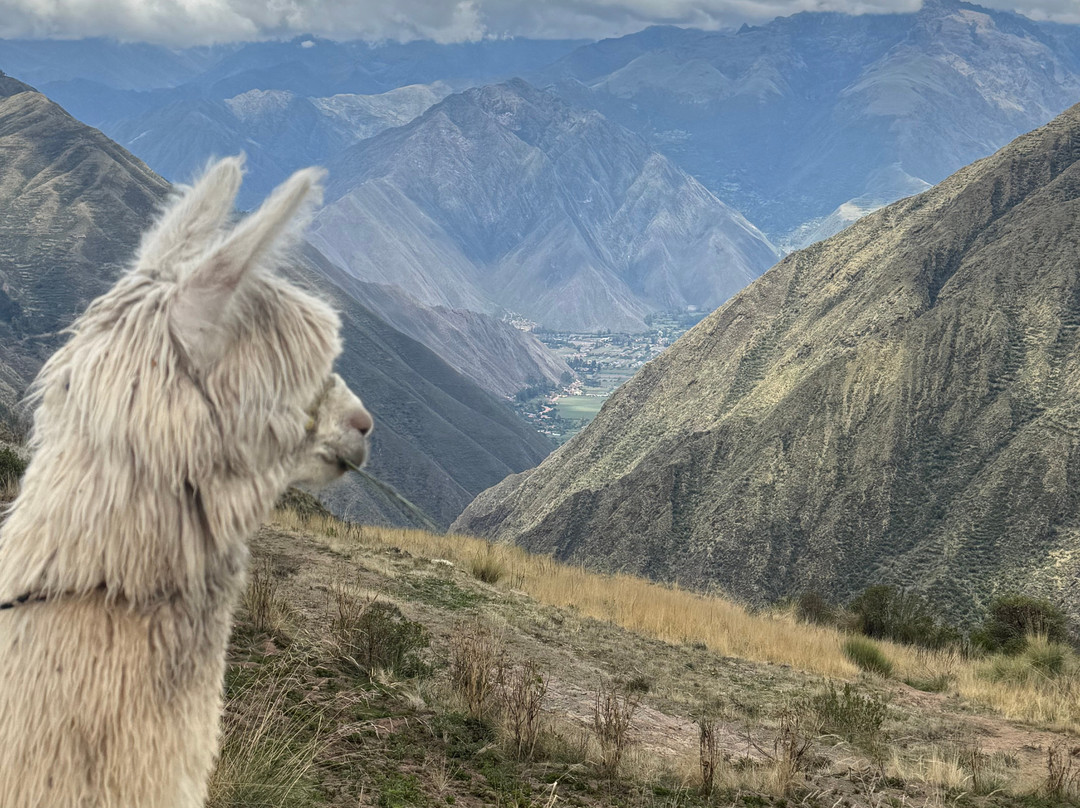 Mountain Gods Peru - Day Tours-库斯科必去景点